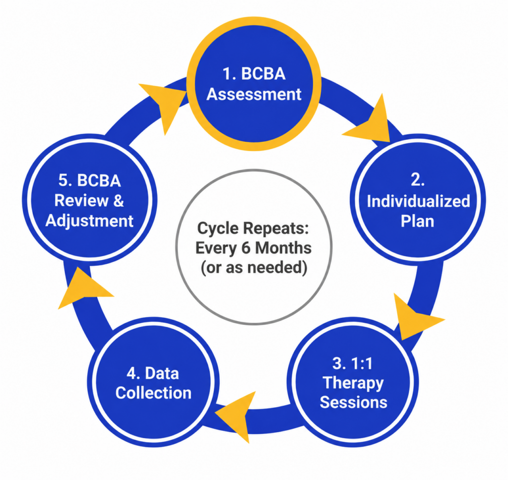 Diagram of the ABA therapy feedback loop: assessment, goal-setting, therapy, data collection, BCBA review, plan adjustment